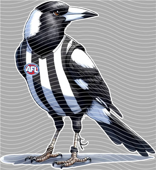 NBA and Team-QD 1392